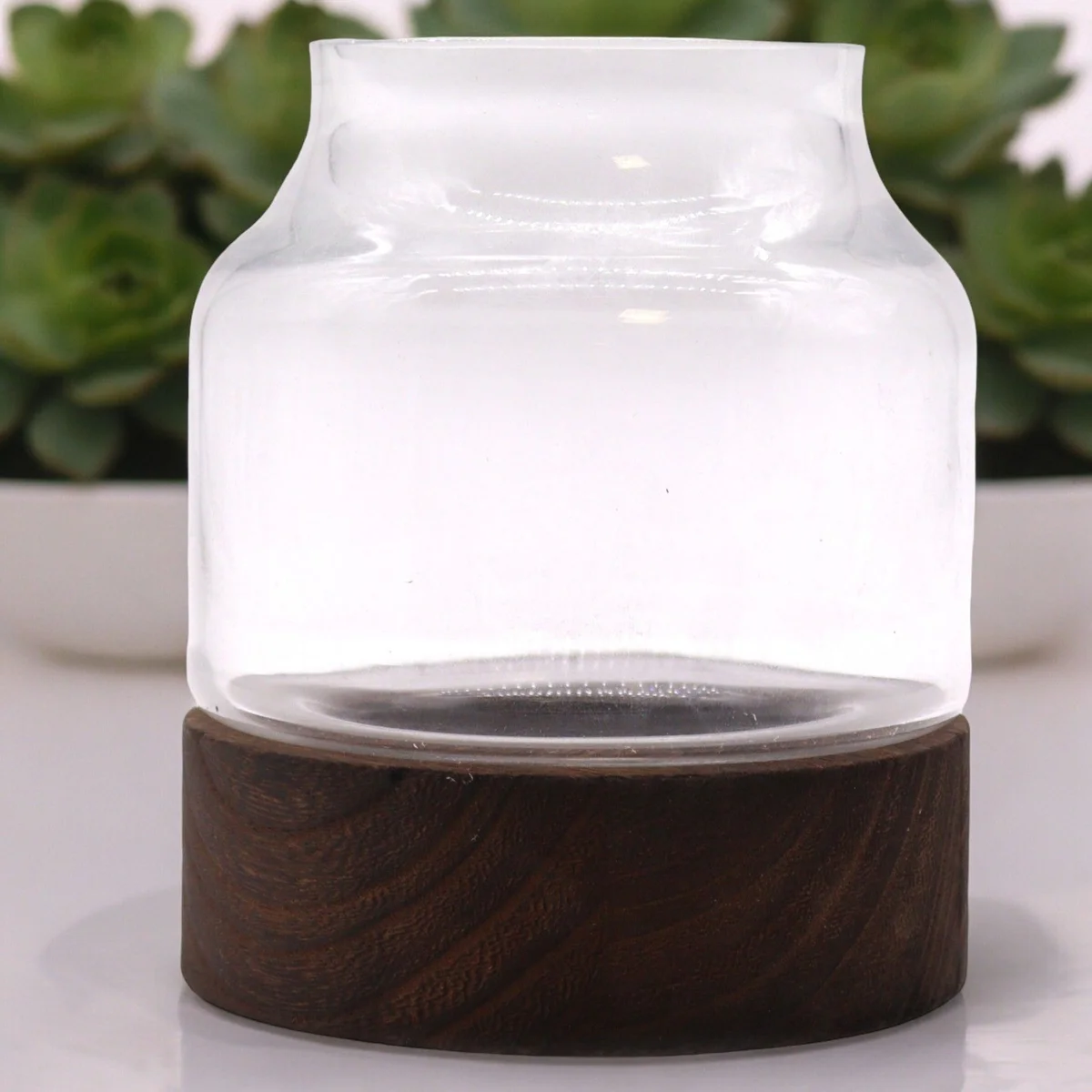 Medium shaped terrarium with glass panels on a dark tung wood base displayed on a white background
