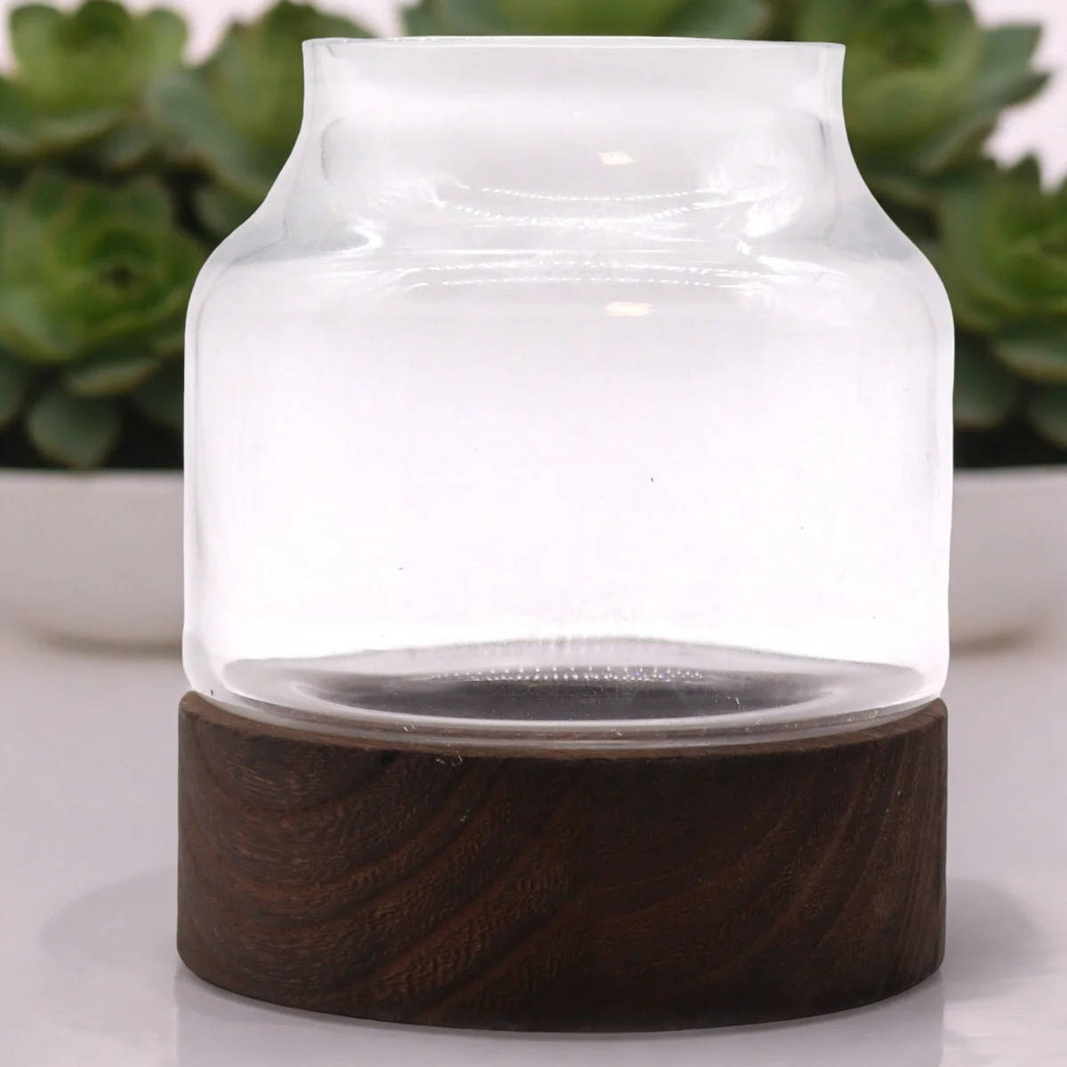 Medium shaped decorative glass terrarium displayed on a dark tung wood base against a white background