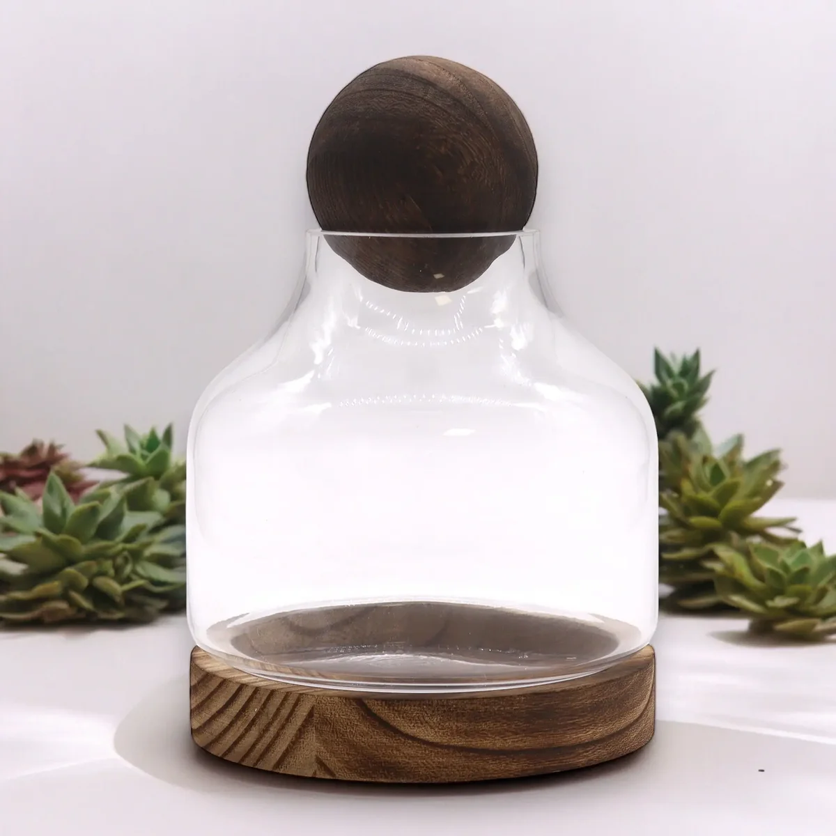 Medium ball top terrarium featuring a clear glass globe on a dark tung wood terrarium base