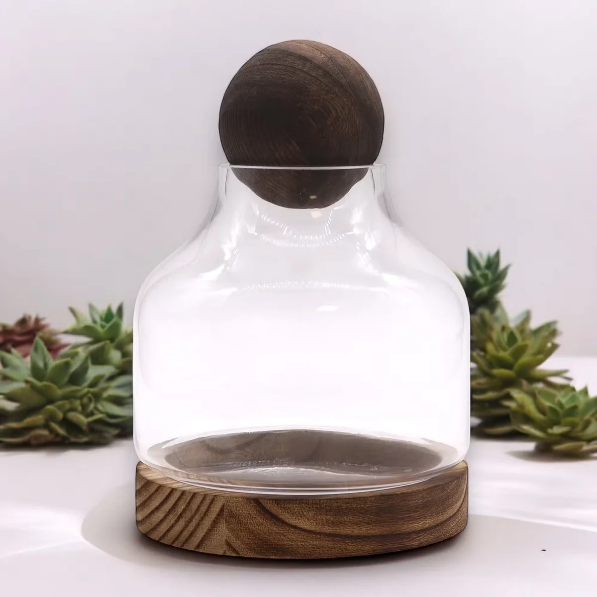 Medium ball top decorative glass terrarium on a dark tung wood base for home decor or plant display