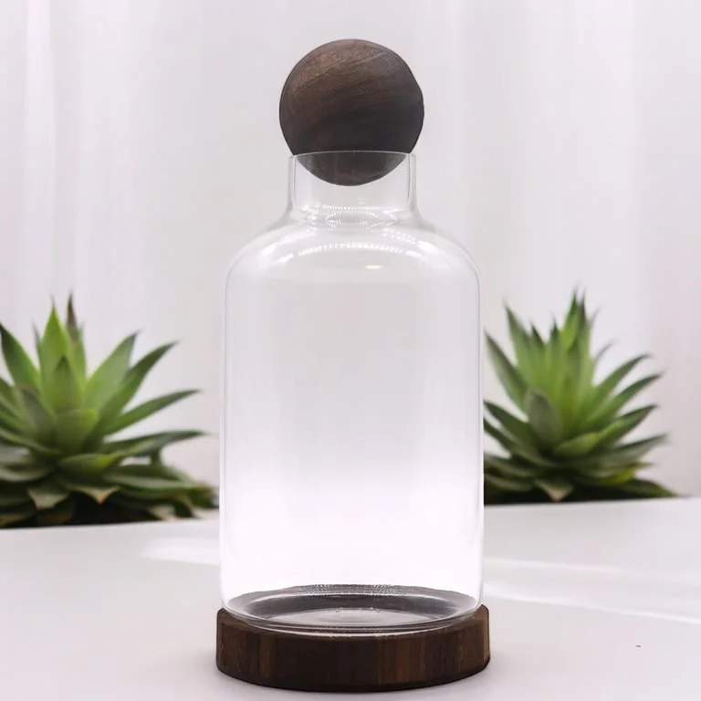 Large ball top terrarium on dark tung wood.