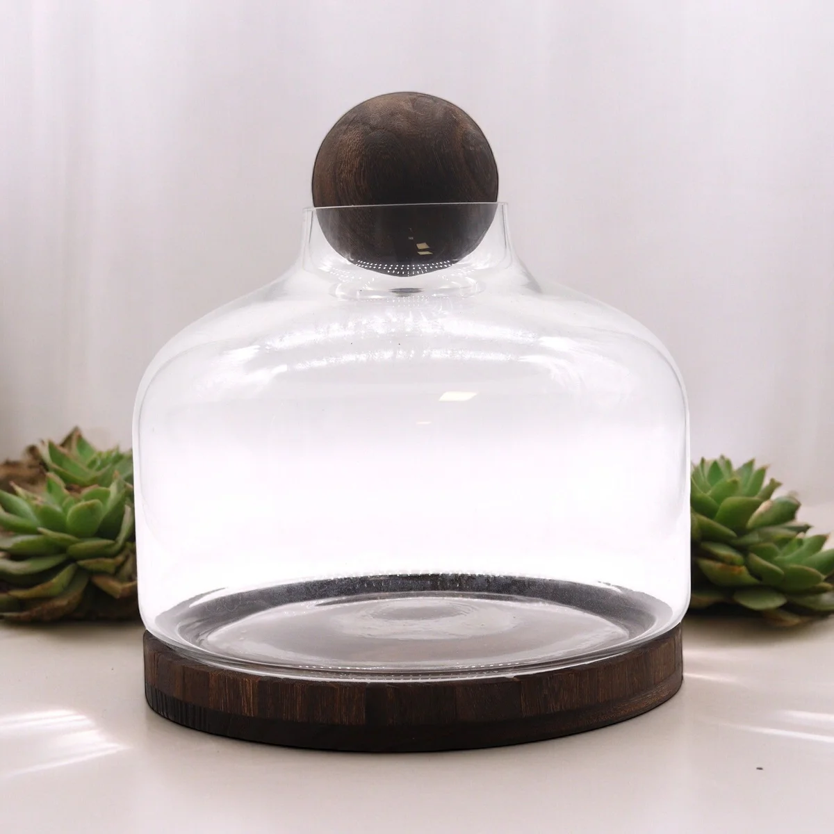 Ex-large large ball top terrarium with clear glass globe on a dark tung wood base displayed on white background