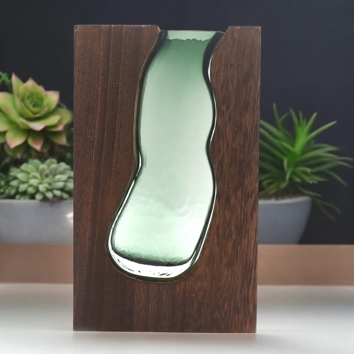 Glass vase terrarium encased in a dark tung wood vase with smooth finish and natural wood grain visible