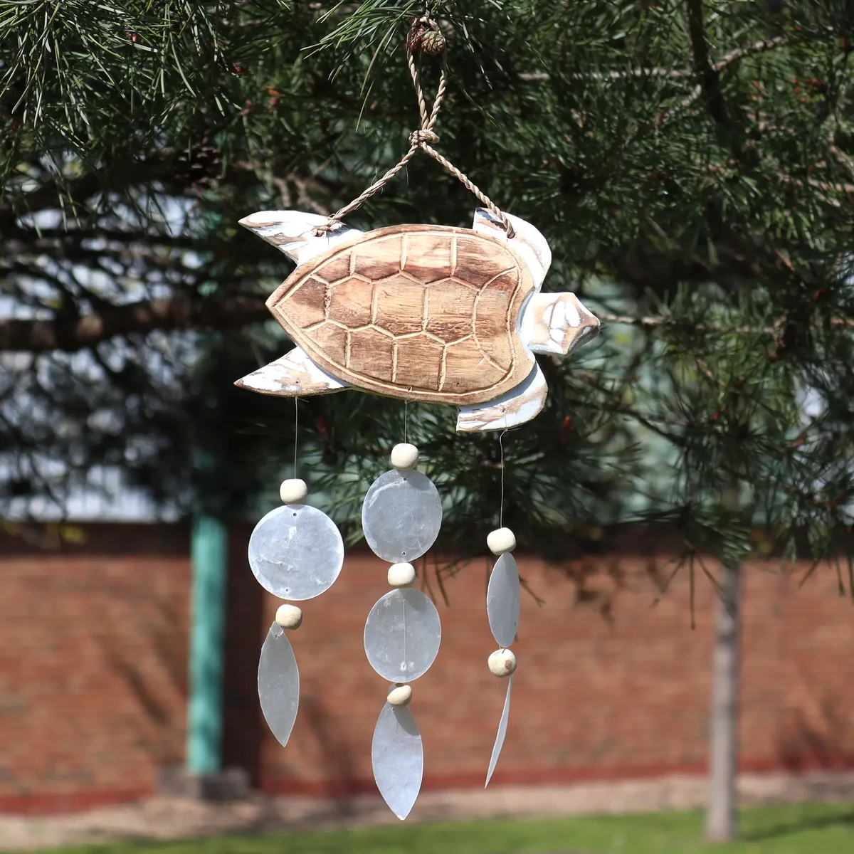 Whitewash turtle carving with natural copis drop