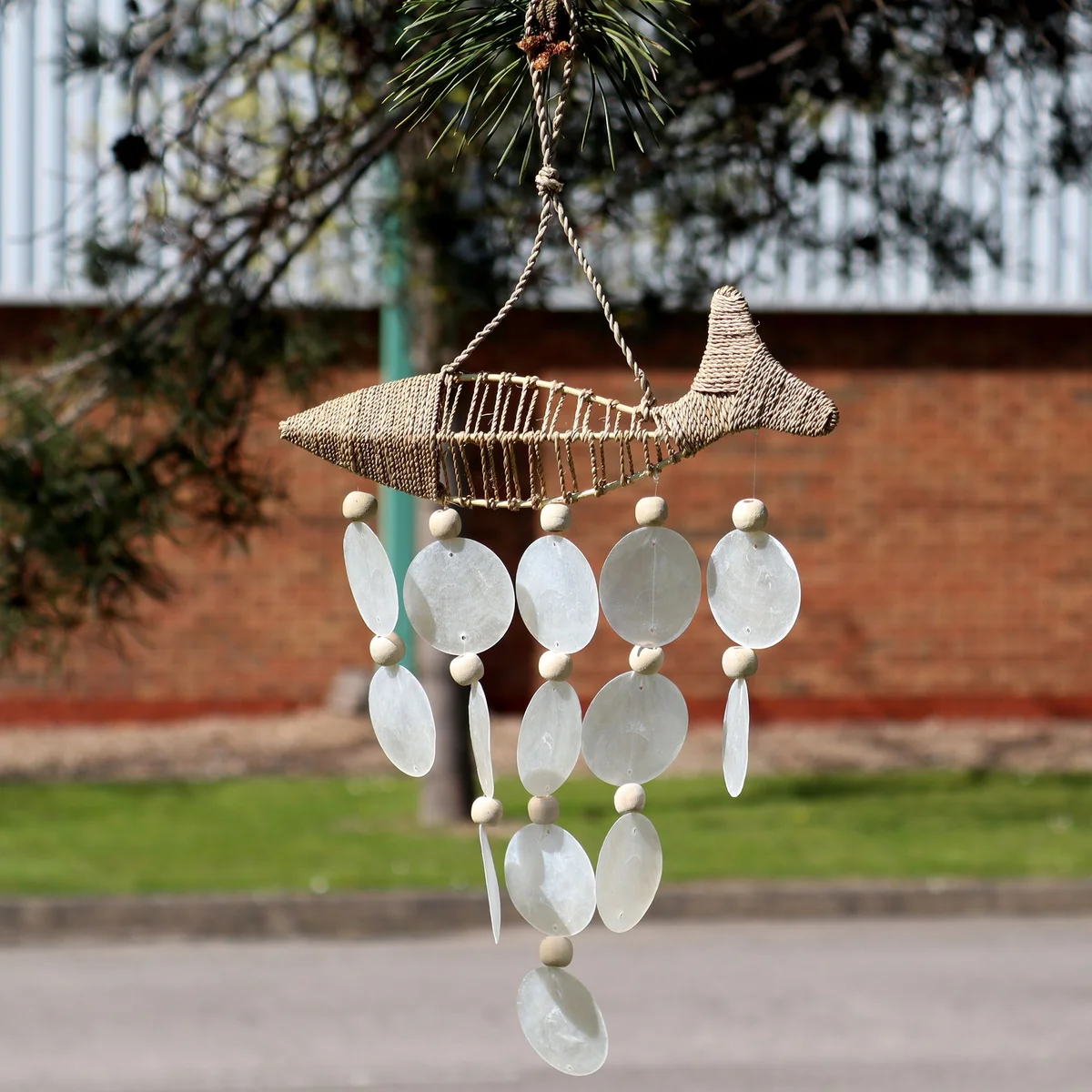String Fish ornament suspended in a natural copis drop.