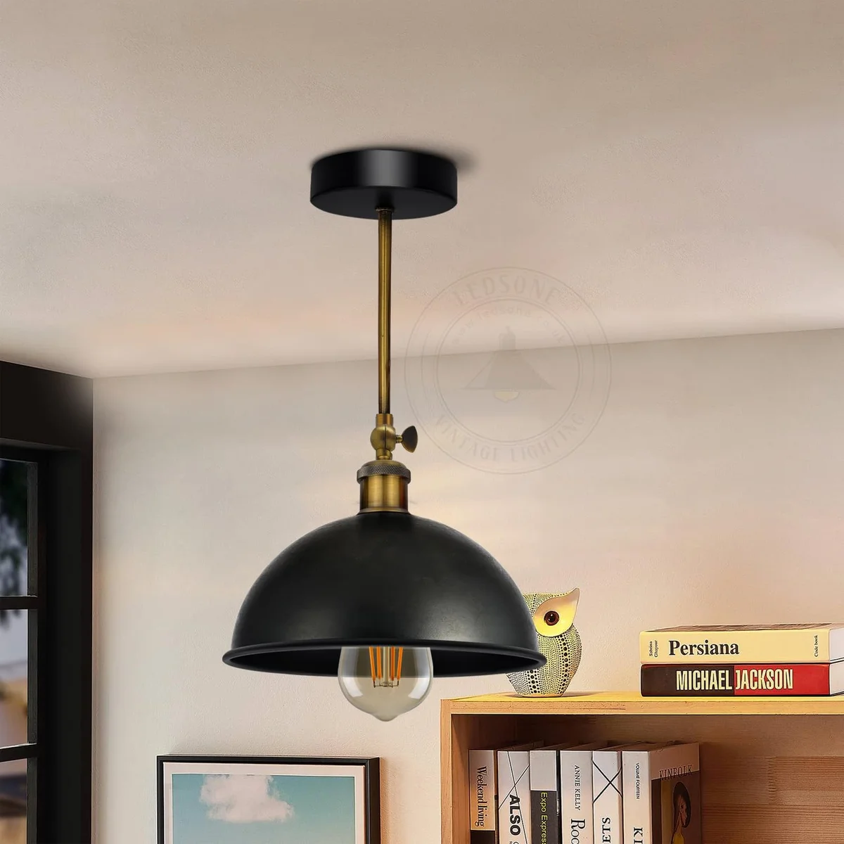 Black metal sconce with dome-shaped cage shade mounted on wall, farmhouse style, vintage finish, includes arm and ceiling rose