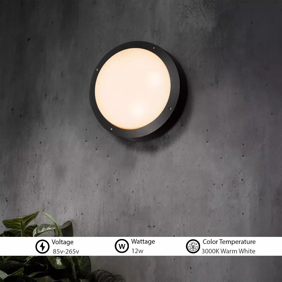 White 12W LED flush ceiling light with round acrylic diffuser and aluminium frame, ideal for indoor and outdoor use