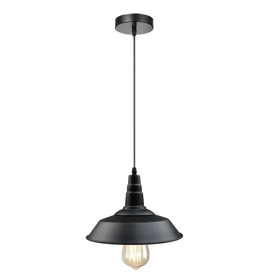 Retro metal industrial ceiling pendant with semi-curved shade and adjustable cord hanging against a white background