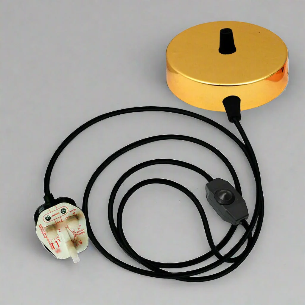 Satin nickel vintage wall light kit with UK plug, dimmer switch, and 2m flex wire for easy installation