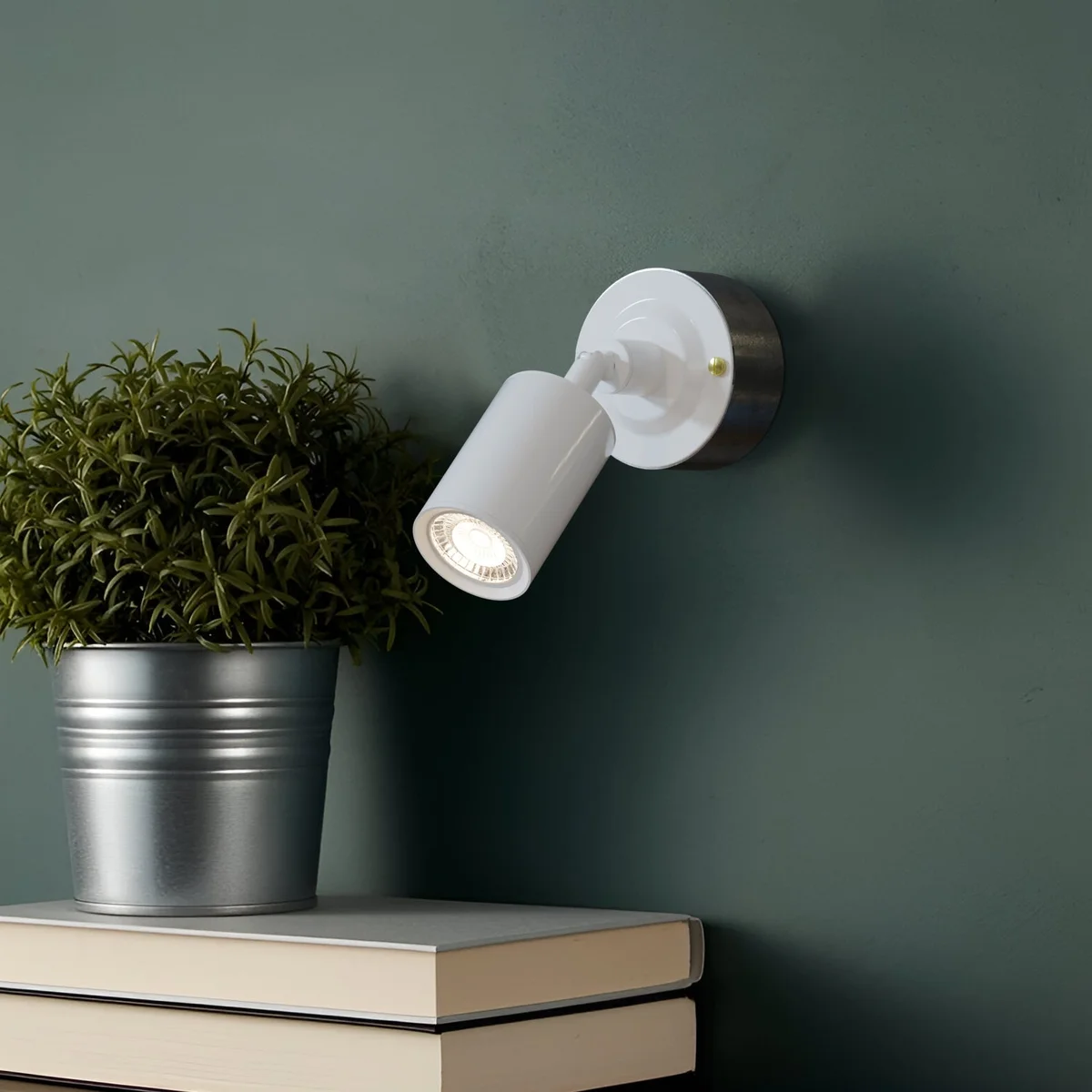 Yellow brass rotatable wall spotlight with cylindrical design and attached galvanized steel conduit loop-in box against white background