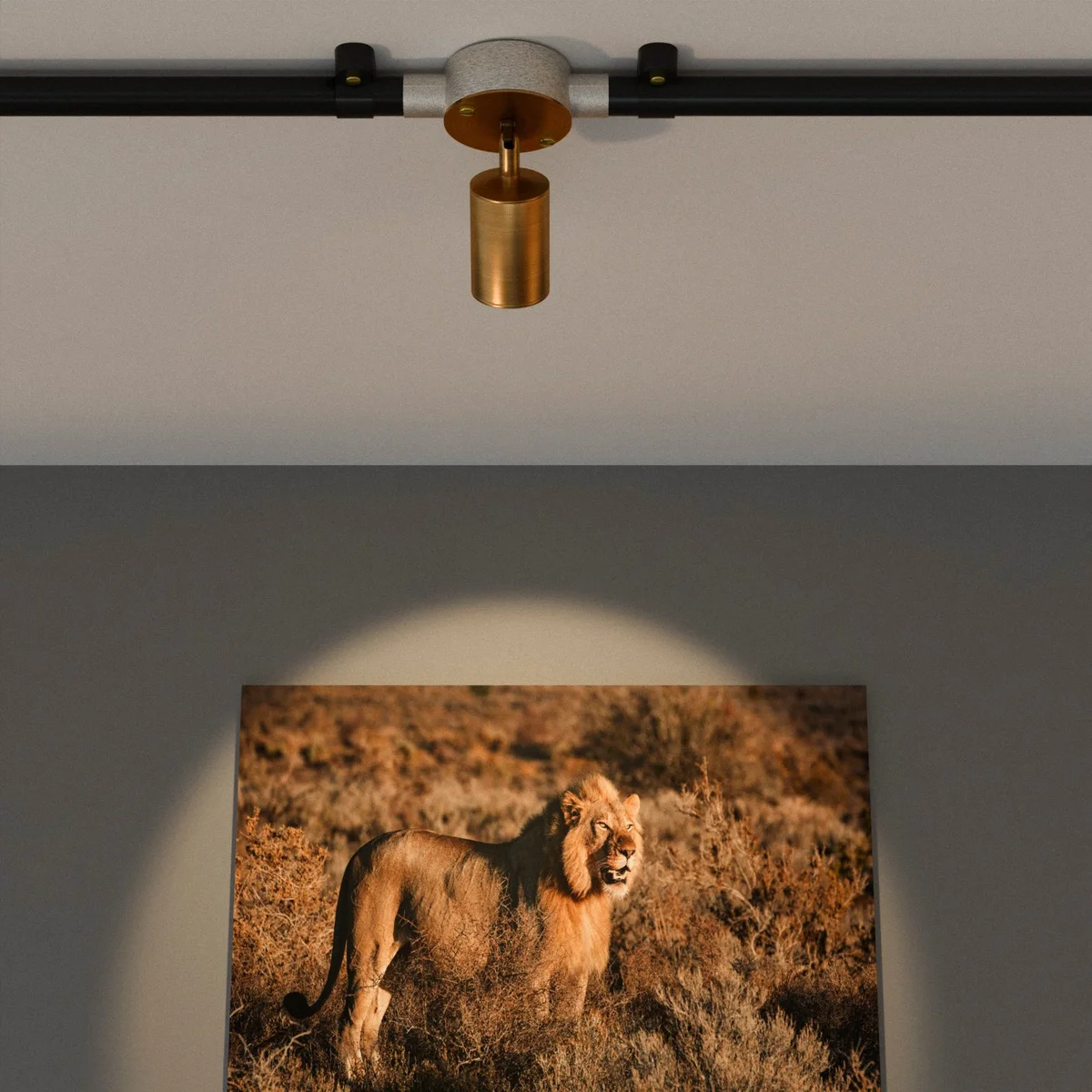 Adjustable yellow brass cylindrical conduit lighting spotlight mounted on ceiling with GU10 bulb installed