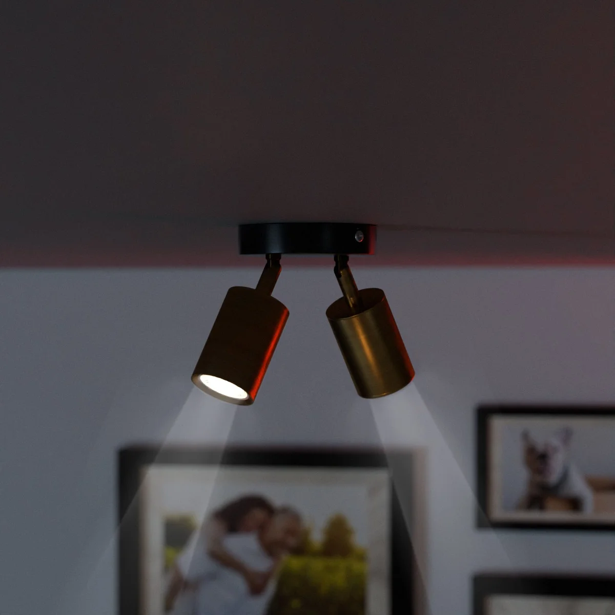 Adjustable modern metal spotlight with dual rotatable cylindrical heads mounted on ceiling, suitable for GU10 bulbs.