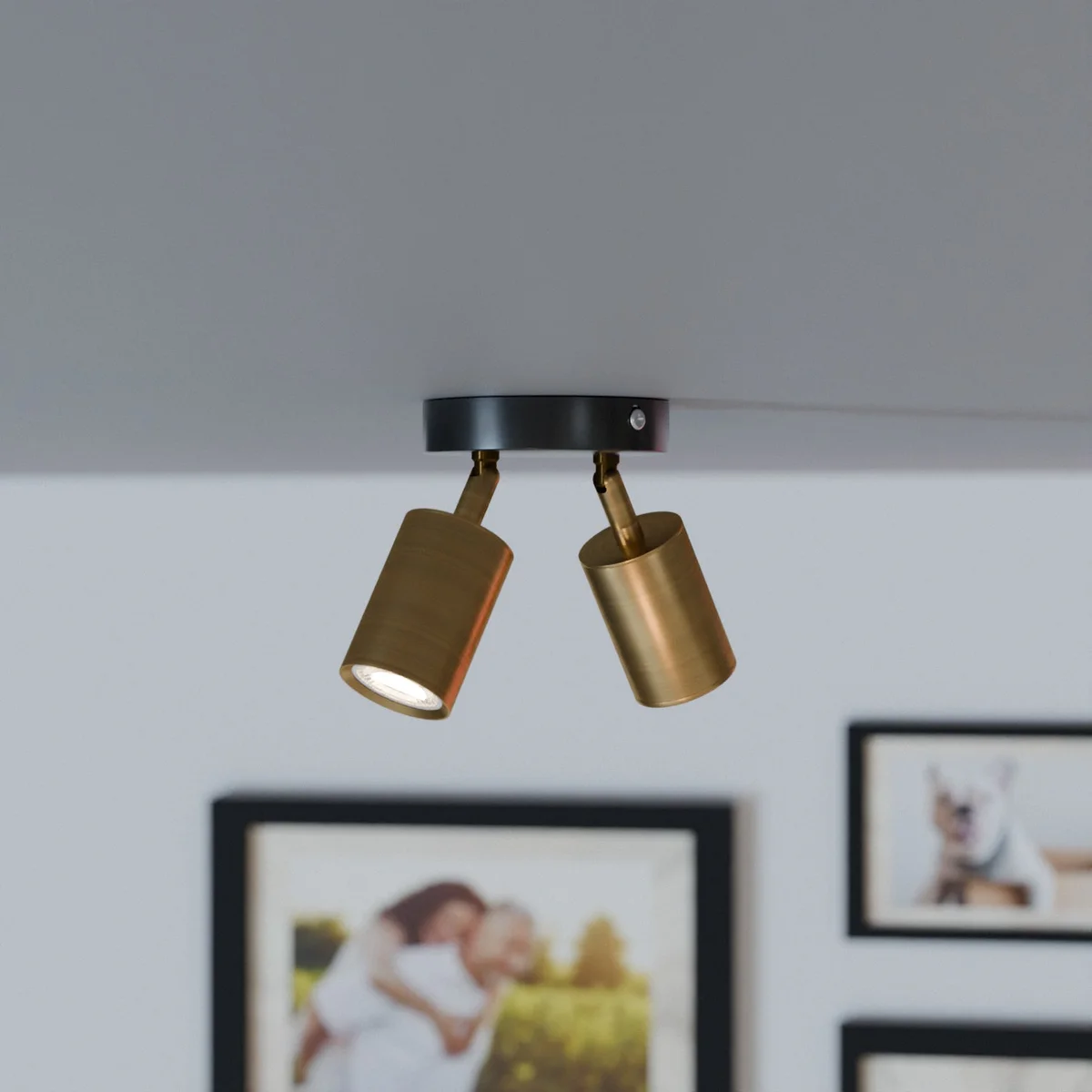 Adjustable dual-head metal ceiling spotlight with cylindrical design, rotatable arms, dimmable indoor ceiling light