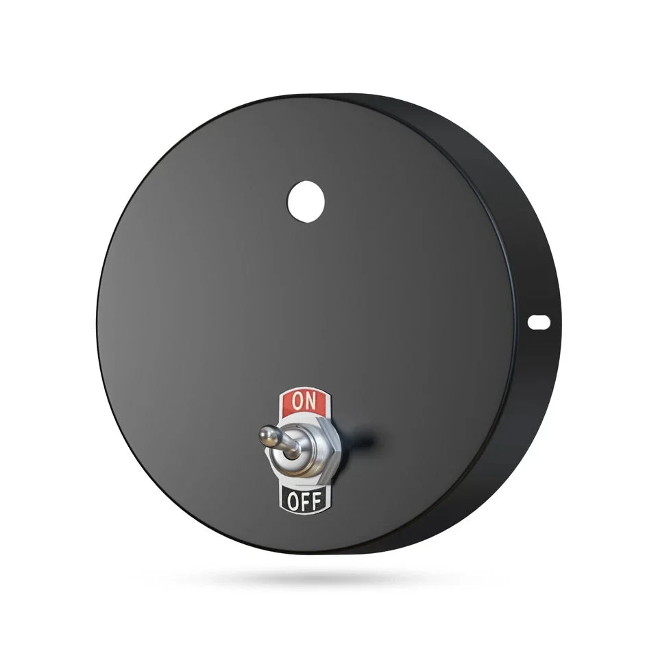 Metal ceiling rose with vintage toggle ceiling light switch in off position, designed for indoor hardwired installation