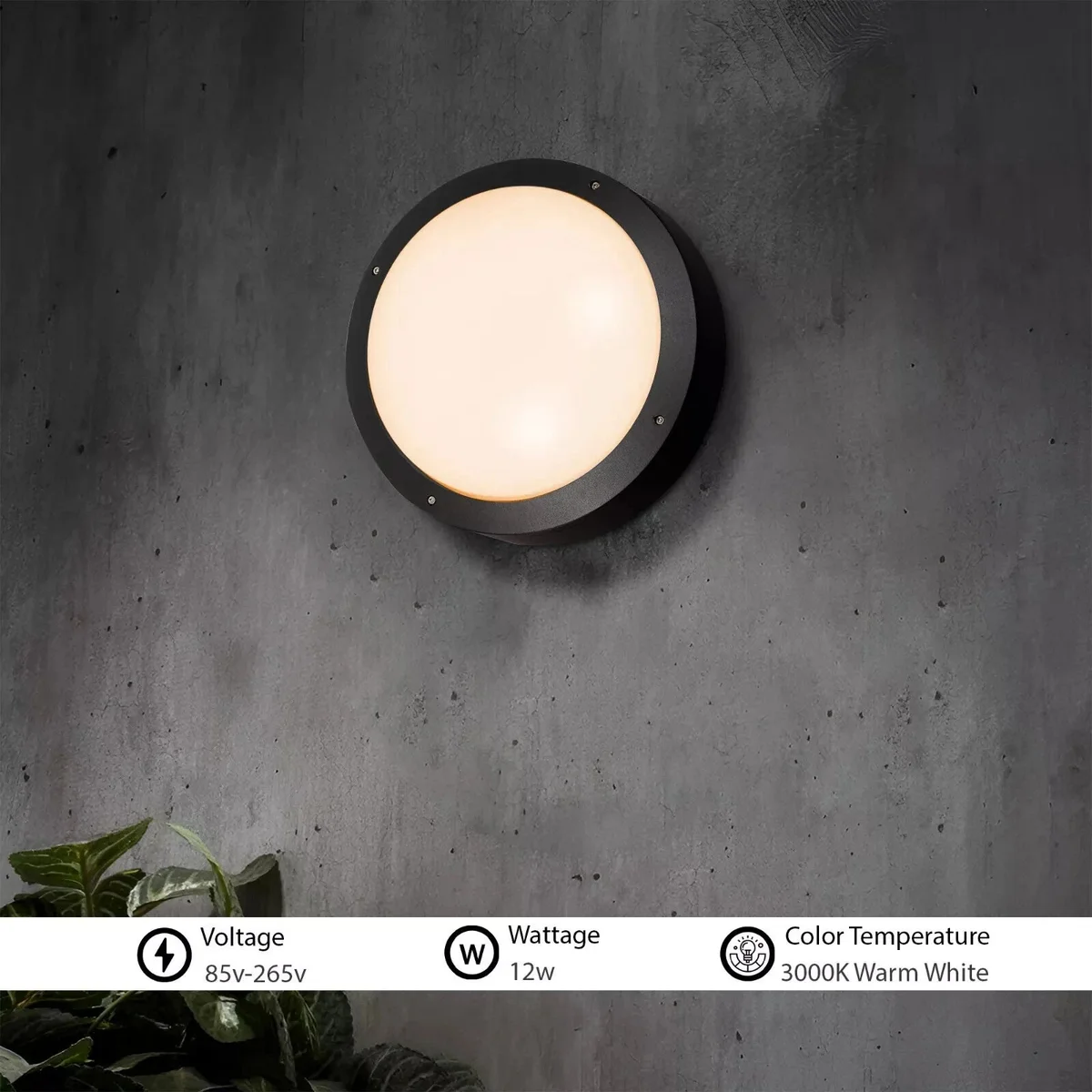 Two 12W warm white bulkhead lights with round aluminium design, suitable for outdoor wall or ceiling mounting, IP54 rated