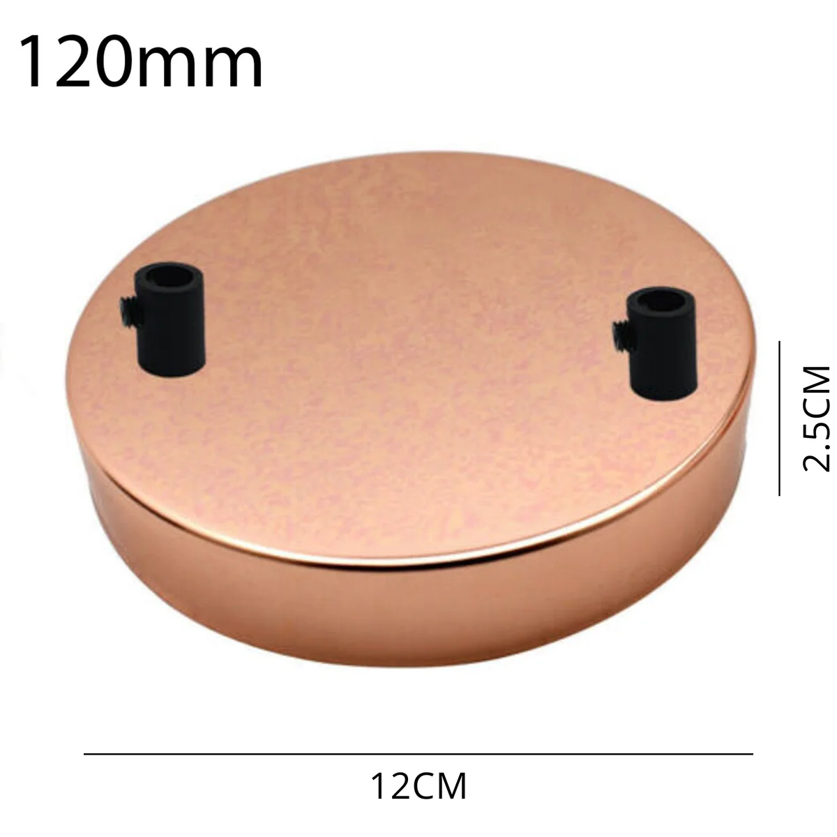 Rose gold metal ceiling rose with two outlets, 120mm diameter, shown with mounting hardware and cord grips.