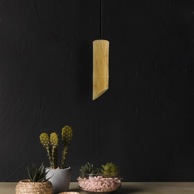 Wooden pendant light with long tube and aluminium spotlight, hanging on a 95 cm adjustable cord, suitable for indoor use.