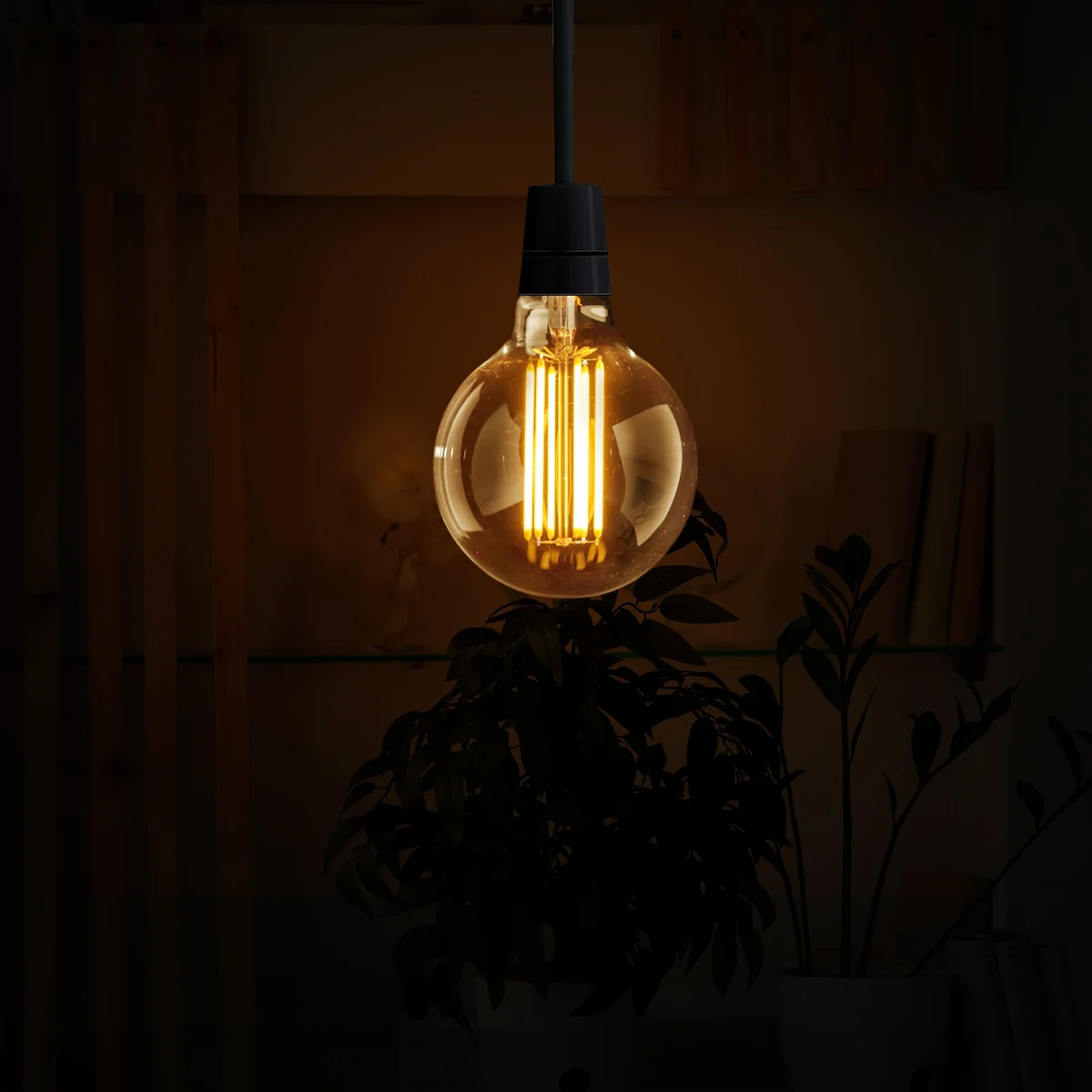 Six globe shaped vintage LED bulbs in a cardboard pack, warm white light