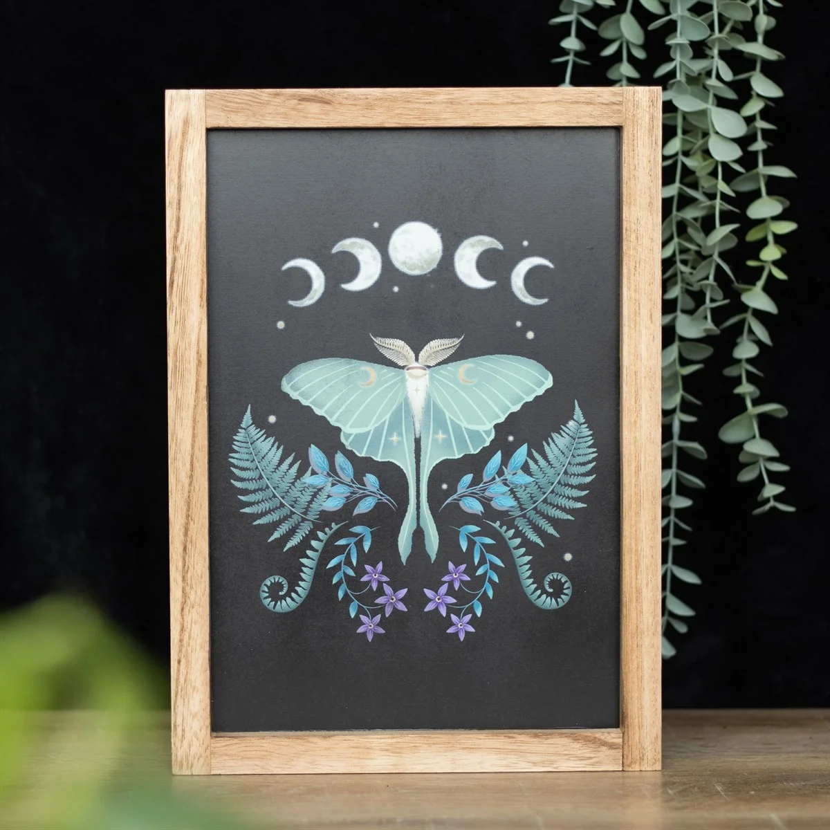 Framed Luna Moth wall art featuring moon phases, flowers, and stars in an elegant wooden frame on white background