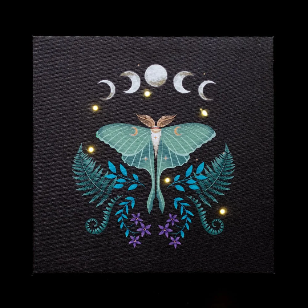 Light up wall canvas showing a 30x30cm ethereal luna moth illustration with glowing embedded LED lights