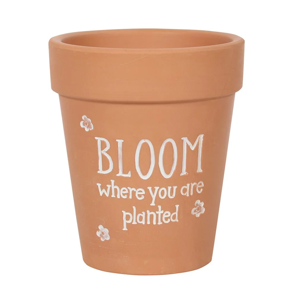 Terracotta plant pot with "Bloom where you are planted" text and floral details, 17cm tall, 15cm wide and deep