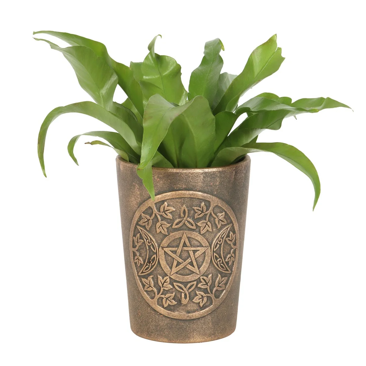 Triple Moon terracotta plant pot with bronze finish featuring waxing, full, and waning moon artwork by Lisa Parker