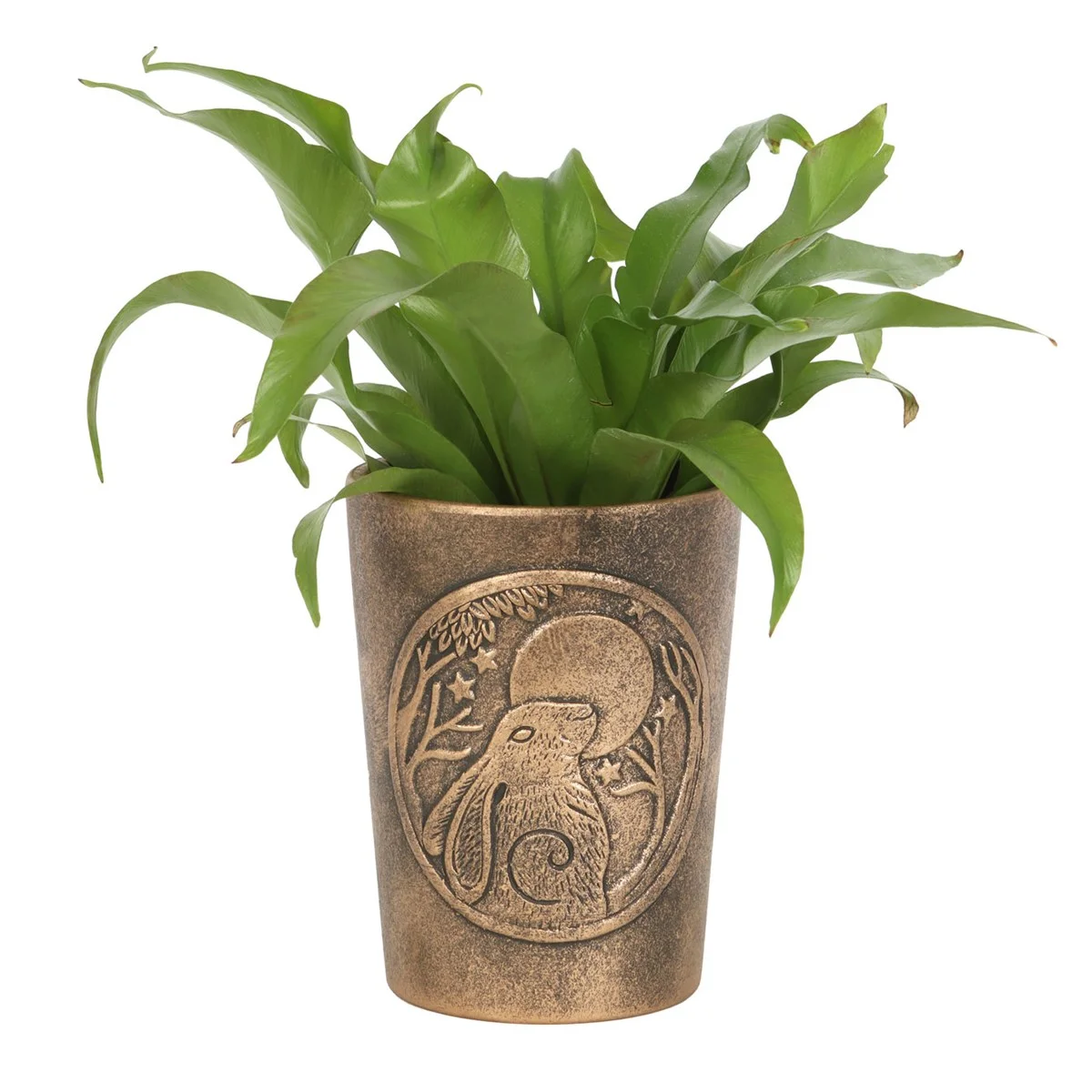 Terracotta plant pot with antique bronze finish featuring detailed moon gazing hare artwork by Lisa Parker