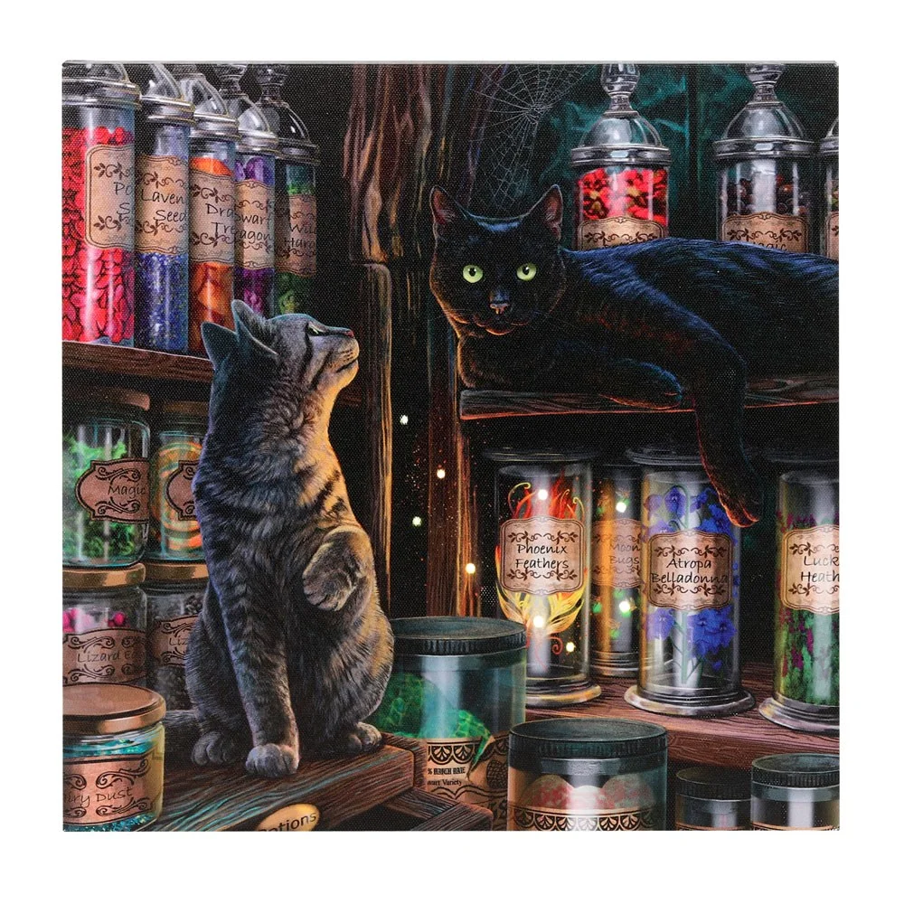 Magical Emporium canvas plaque by Lisa Parker with light-up details on a 30cm square decorative canvas