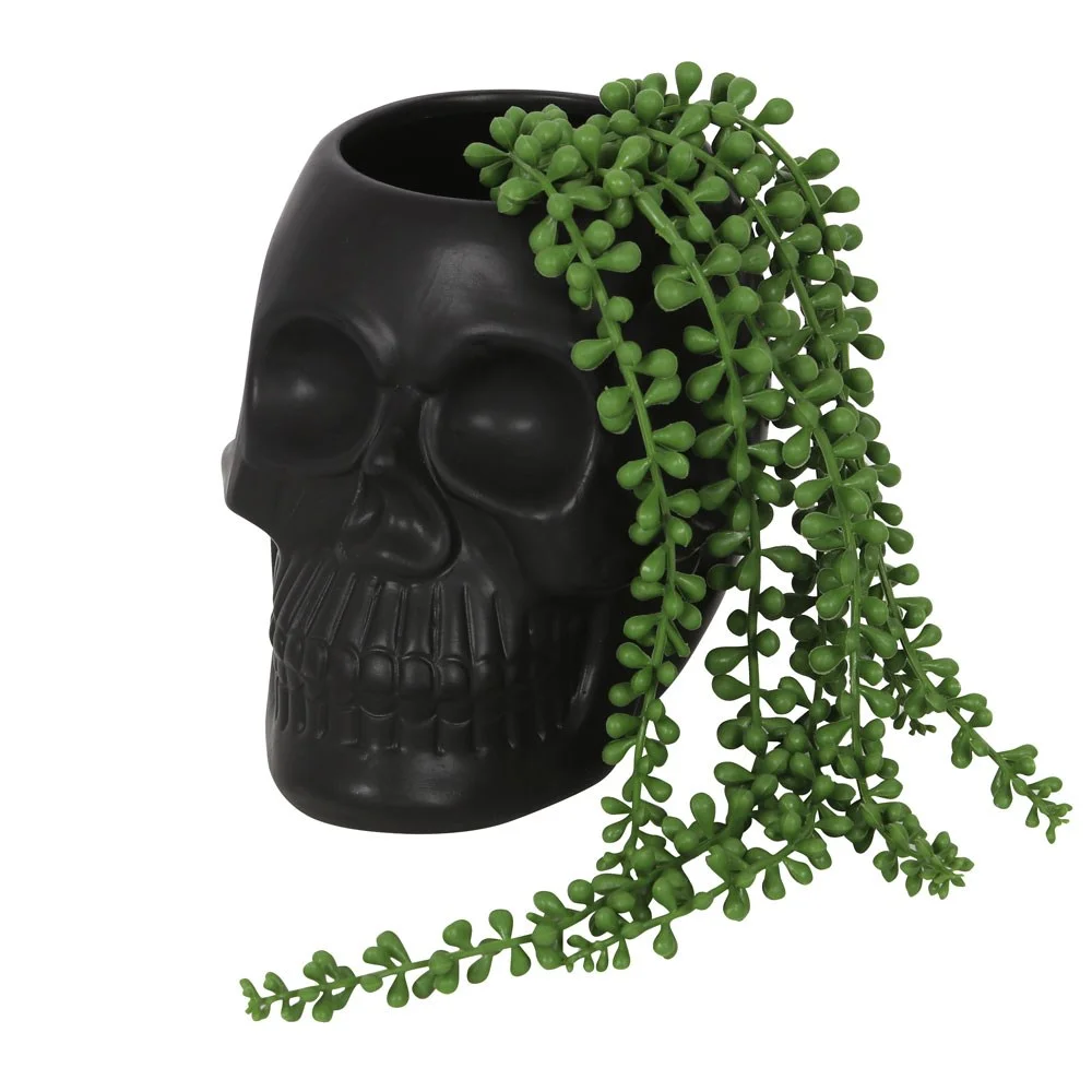 Black skull plant pot with hollow eye sockets and nose, empty, shown against white background with shadows