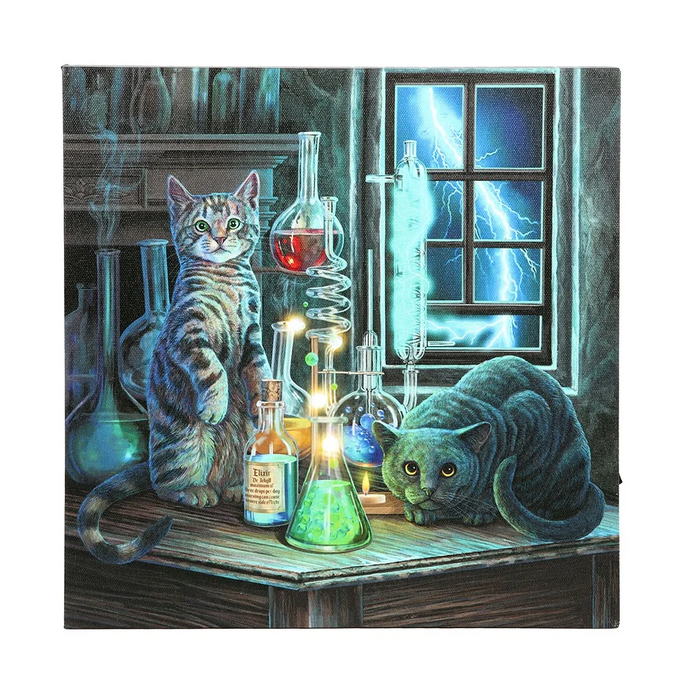Square Jekyll and Hyde canvas plaque with LED lights featuring Lisa Parker’s cat artwork, 30x30cm size