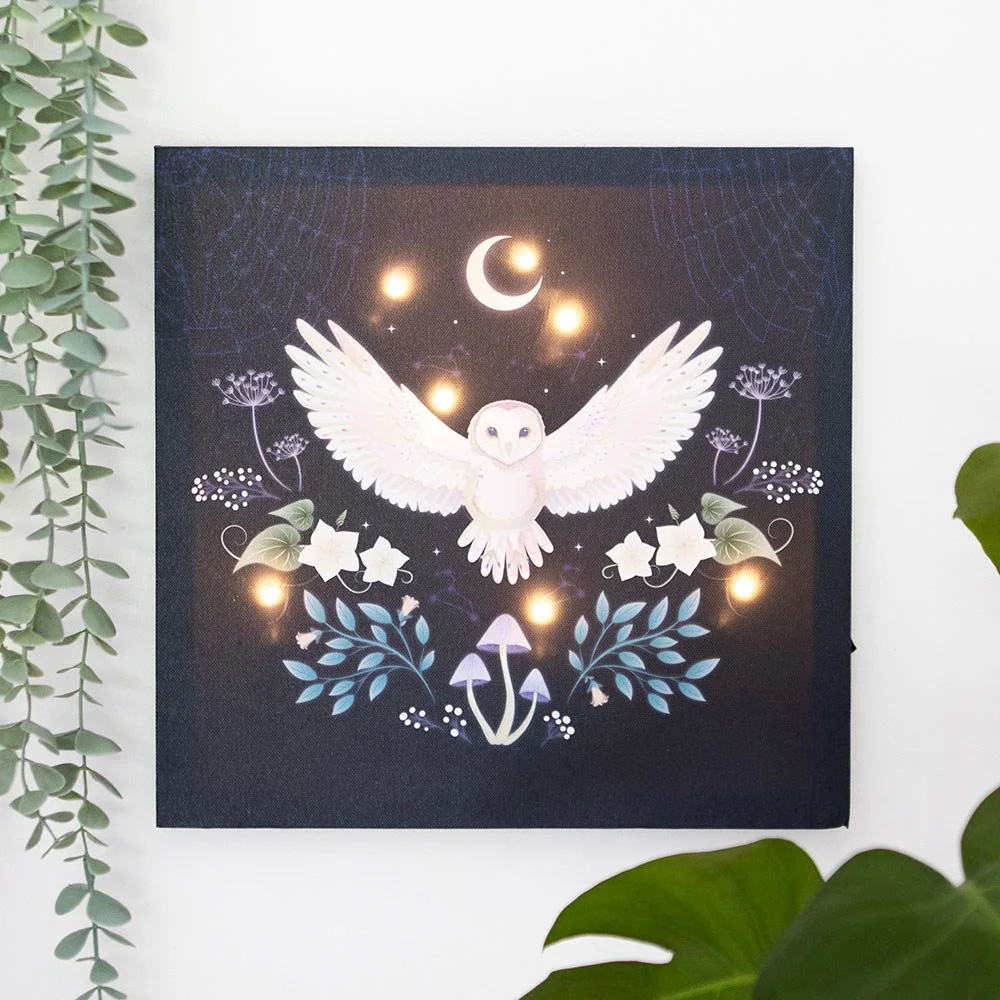 Mystical owl and plant design on 30x30cm light up wall canvas with embedded LED lights glowing in dark room