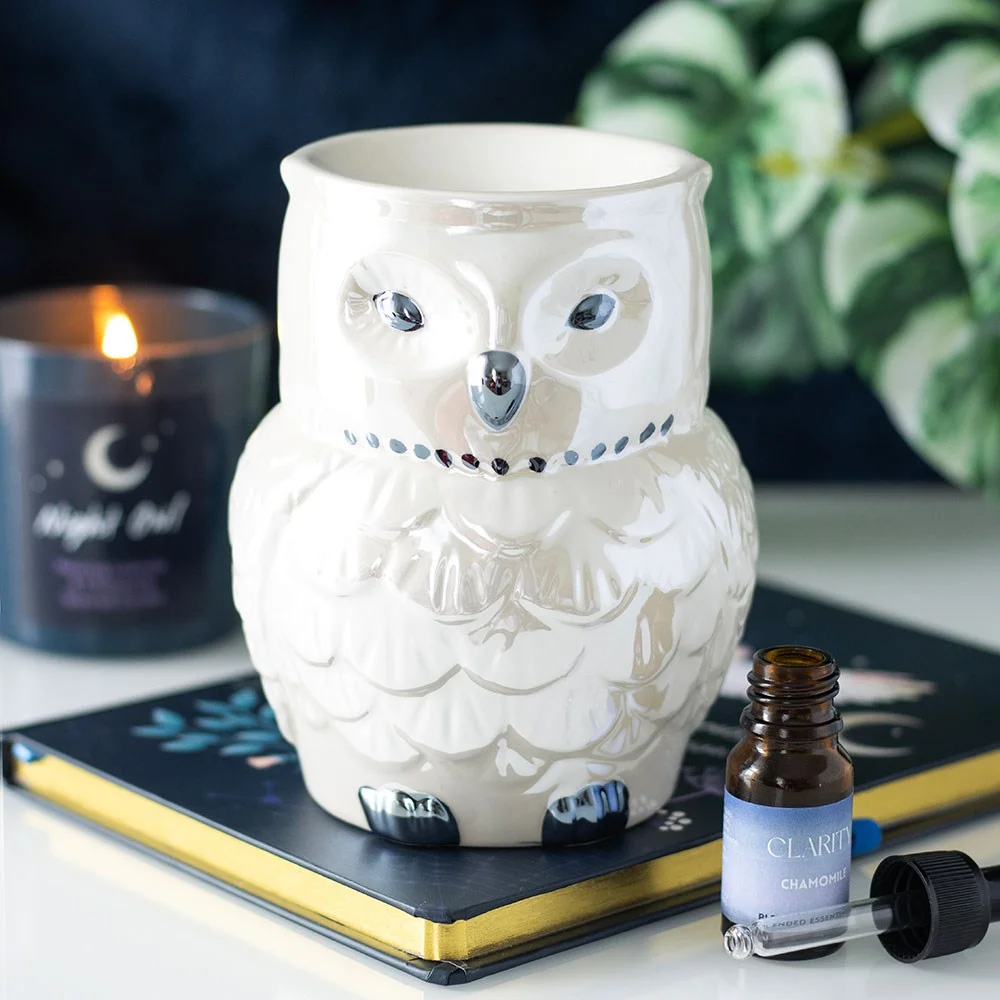 Owl oil burner with iridescent glaze, shaped like an owl, designed for tealight and wax melts use