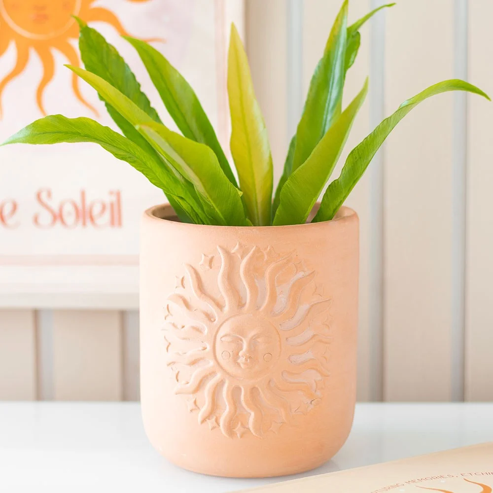 Terracotta plant pot with embossed sun design, ideal for displaying plants or succulents indoors or outdoors.