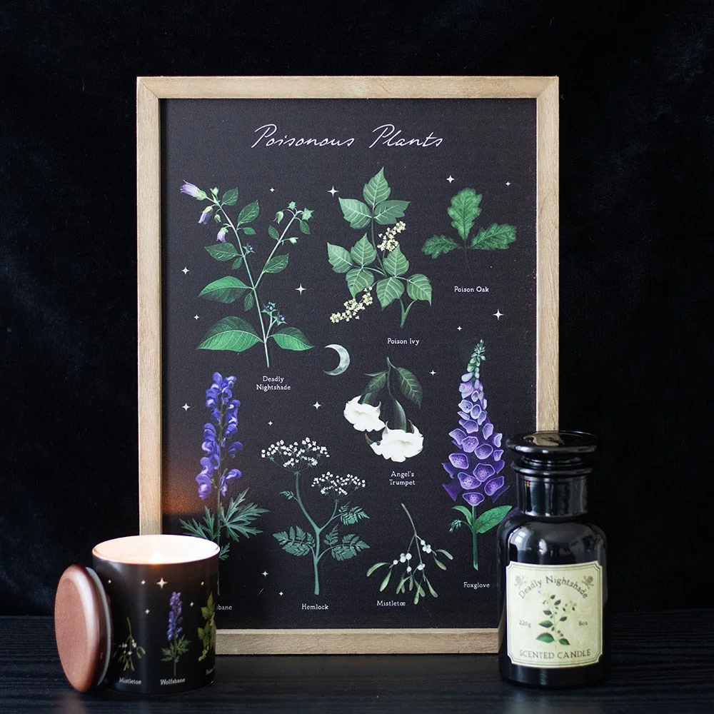 Wooden framed print featuring an intricate poisonous plants wall art design, gothic style