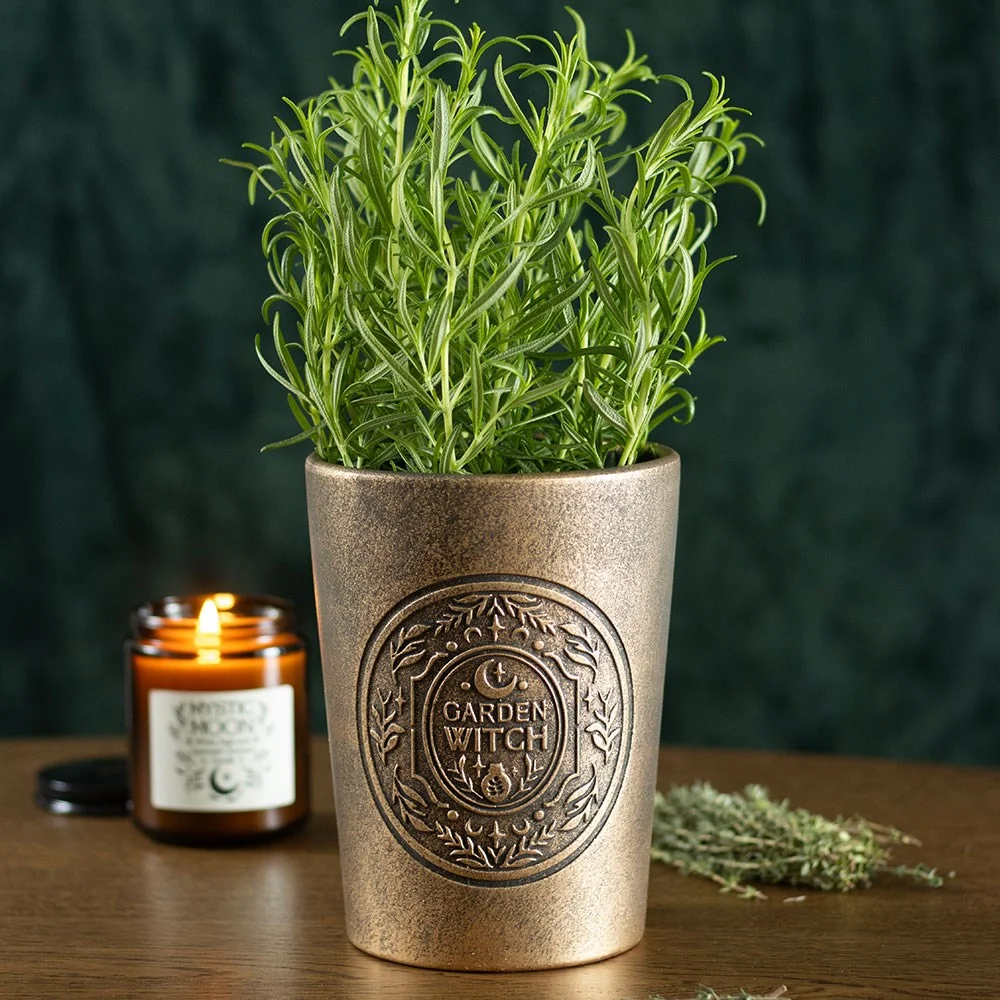 Bronze effect plant pot with terracotta finish and rustic Garden Witch design, ideal for herbs or succulents.