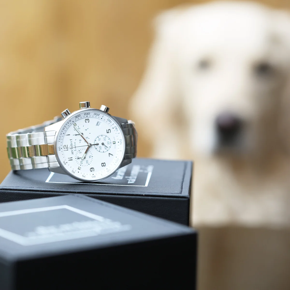 Swiss made men's watch Architect Endeavour with stainless steel case, chronograph dials, and modern font engraving area on back