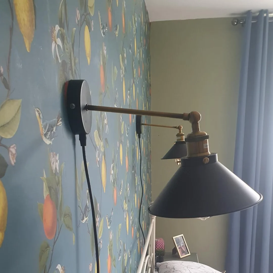 Pair of metal plug in wall lights with adjustable dimmer switch and 2m cable, shown mounted on a white wall